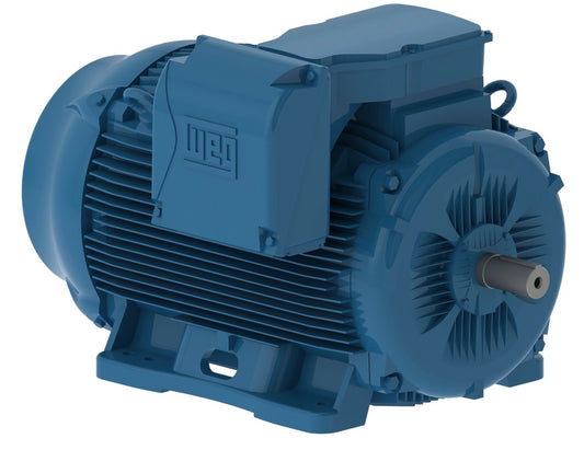 Motor electrico WEG